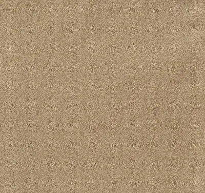37318 101