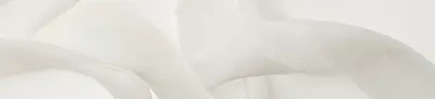 LILY 02