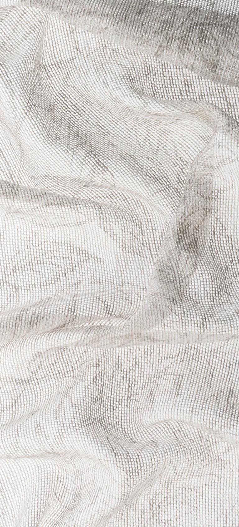 FOGLIA 04