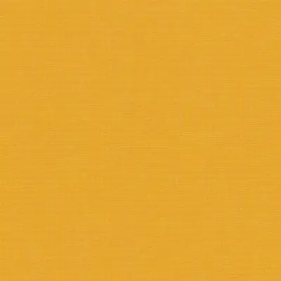 CANVAS MIMOSA