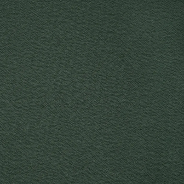 Vega 28211 — Ảnh 2