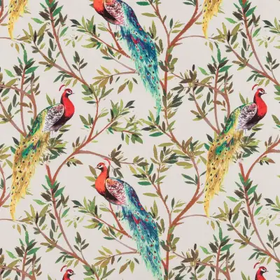 Sunset Peacock — Peacock Aperol