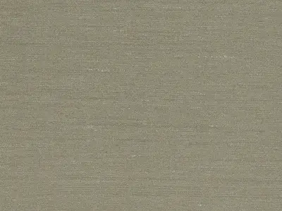 Straw — 20060301