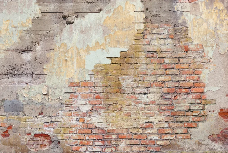 Zoom Digital Wallpaper Wall Mural - 222410 — Ảnh 4