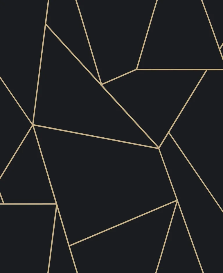 Nazca Wallpaper - Black/Gold — Ảnh 5