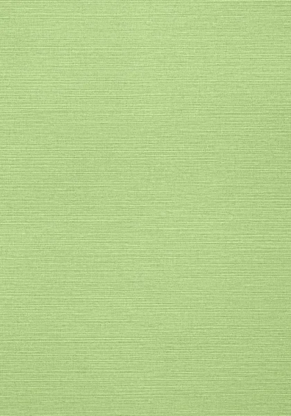 Taluk Sisal Wallpaper T287 — Ảnh 2