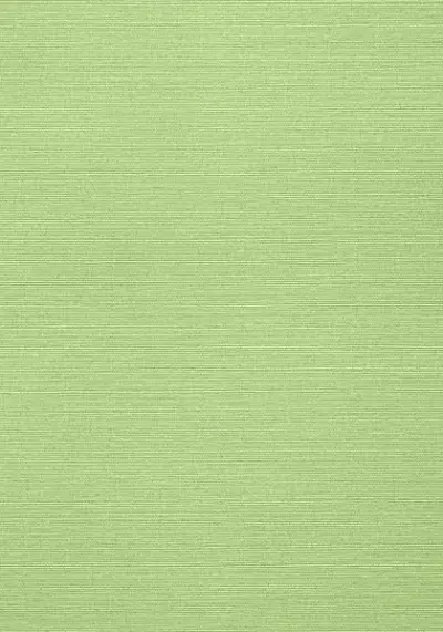 Taluk Sisal Wallpaper T287