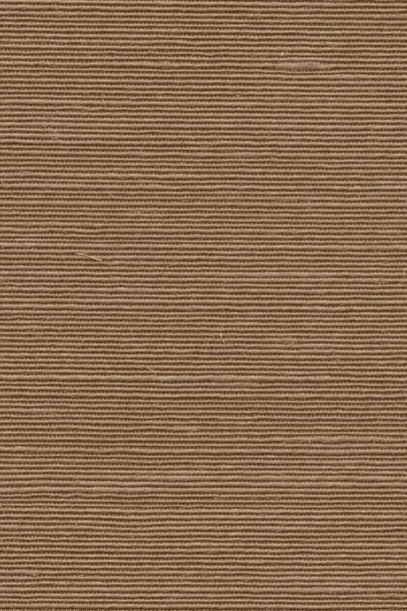 Agave Taupe — Ảnh 2