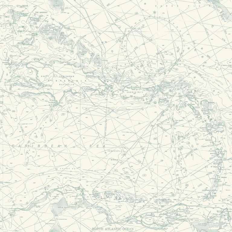 Chesapeake Charts Nautical Chart Wallpaper - Aqua — Ảnh 3