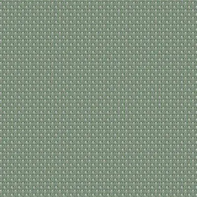 MILD ALGAE
