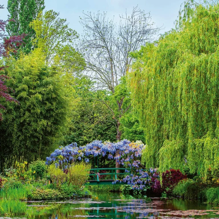 Monet’s Garden In France - Wall Mural 5035 - 8 Panel - 384cm x 260cm — Ảnh 3