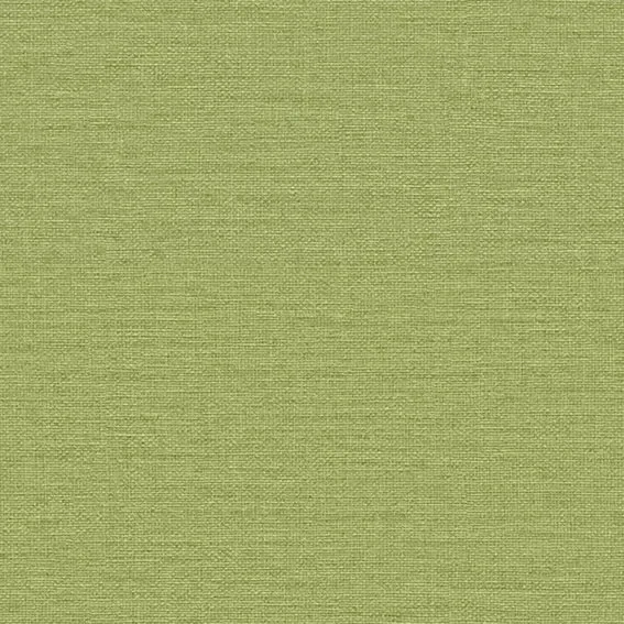 The Basic - Green Tone