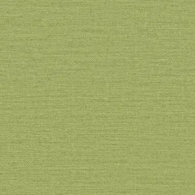 The Basic - Green Tone