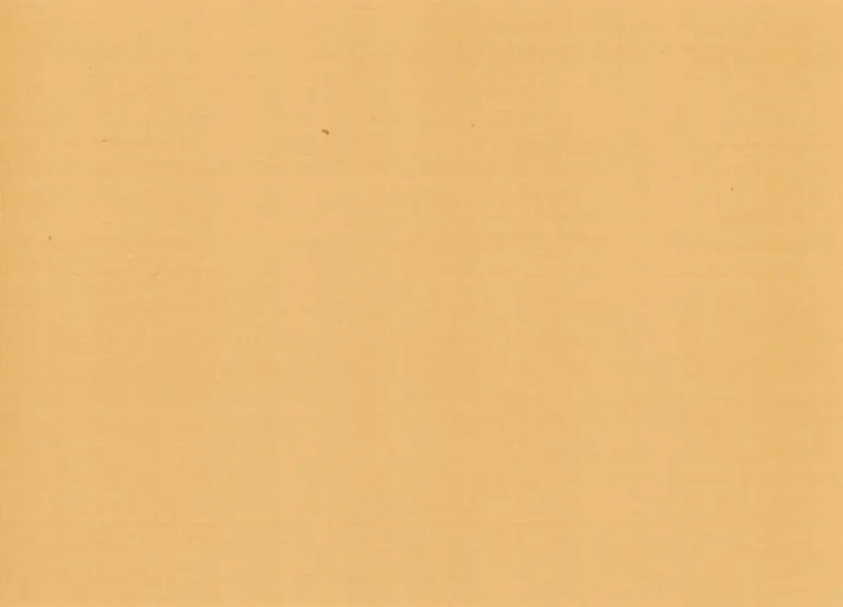 Sand - Plain Silk — Ảnh 2