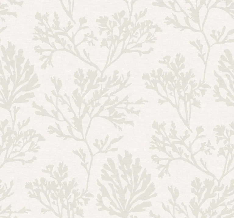 Tortuga Wallpaper - Dove — Ảnh 6
