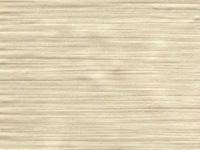 Silk 210501-10