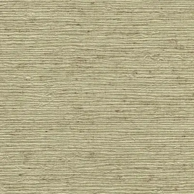Vinyl Arrowroot