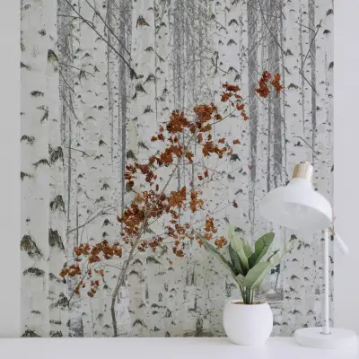 White Birch Forest - Wall Mural 5104 - 4 Panel - 192cm x 260cm