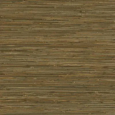Mayleen Grasscloth Wallpaper - Black