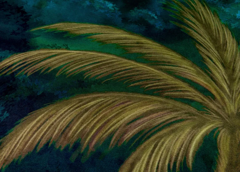 Ciel Tropical Emerald Forest — Ảnh 3