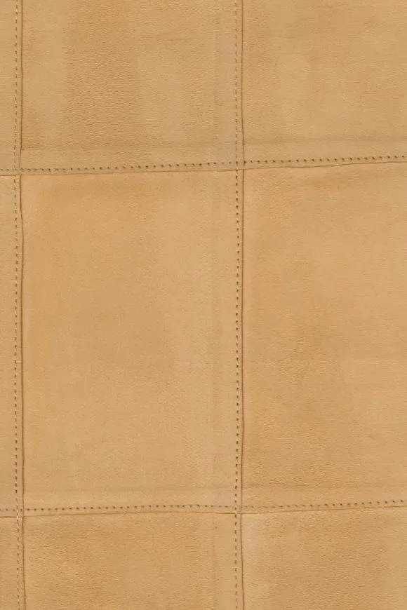 Avenio Camel — Image 2