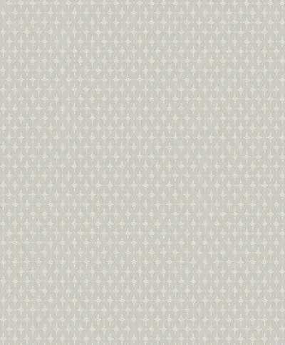Einar — Grey
