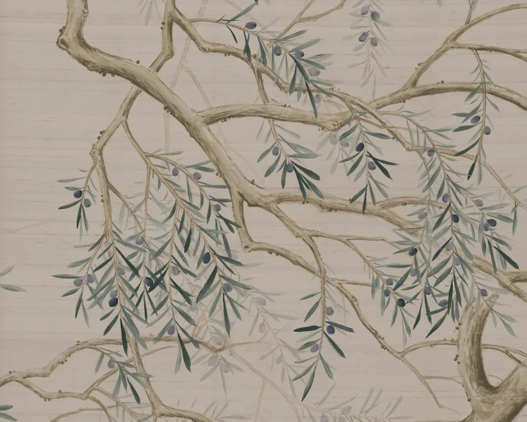 Tuscan - Olive Grove — Ảnh 2