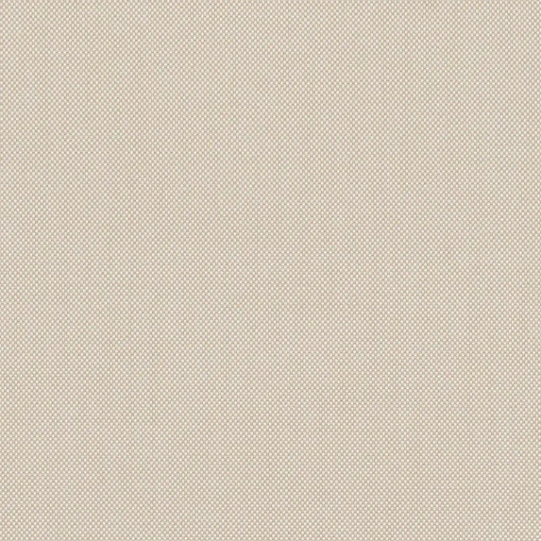 NATTÉ CANVAS