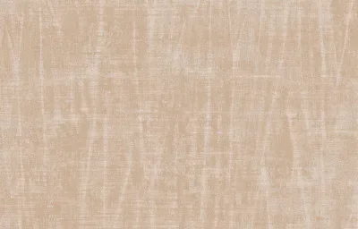 SPIGA — Ảnh 4