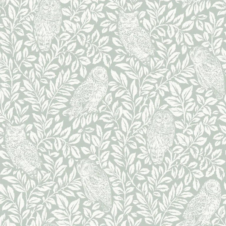 Chesapeake Parliament Owl Wallpaper - Teal — Ảnh 2