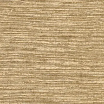 Vinyl Arrowroot