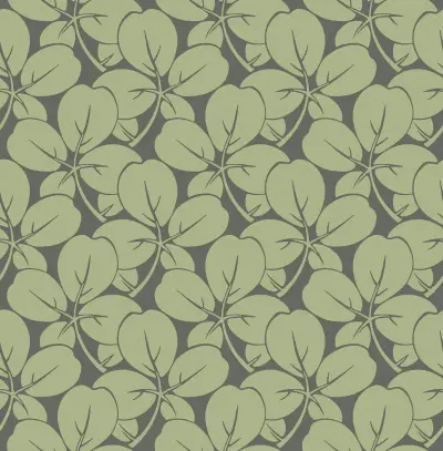 Robert Clover Wallpaper - Green