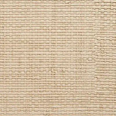 Vinyl Island Raffia