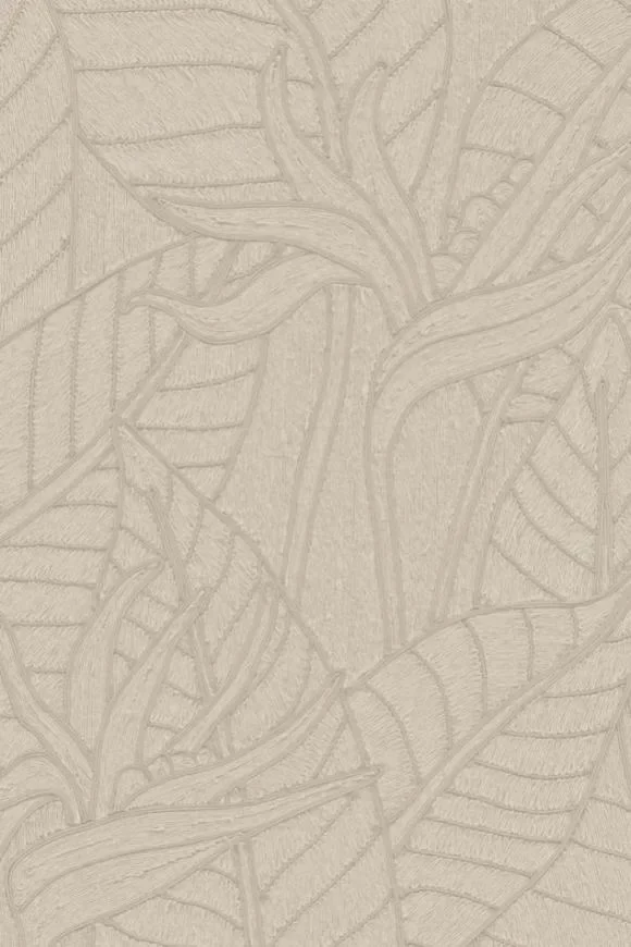 Strelitzia Zinc — Image 2