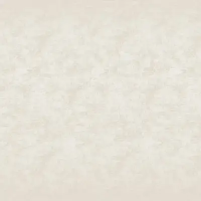 Studio 33360156