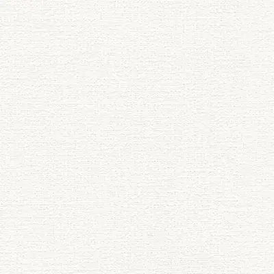 The Basic - White Beige Tone PT.02