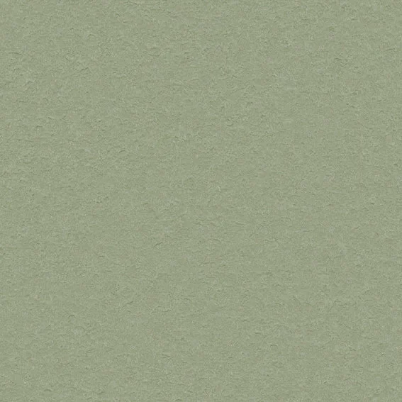 The Basic - Green Tone