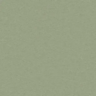 The Basic - Green Tone