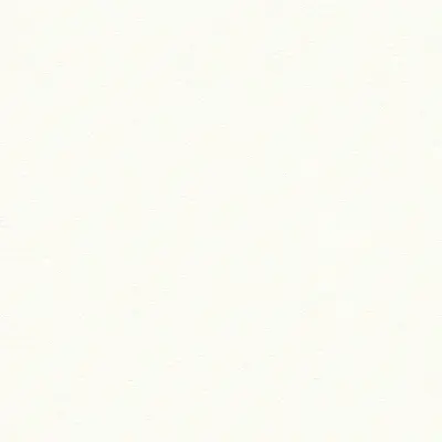 The Basic - White Beige Tone PT.02