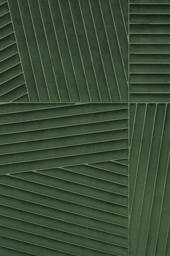 Shibumi Olive — Ảnh 2