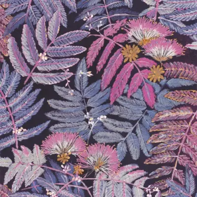 Botanica Albizia