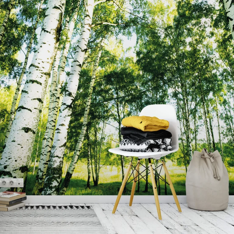 Sunshine Forest - Wall Mural 5429 - 4 Panel - 192cm x 260cm — Ảnh 2