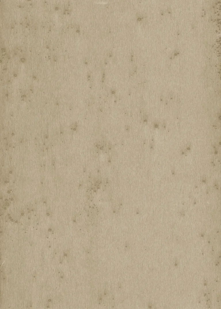 Stellar 37509 — Ảnh 4