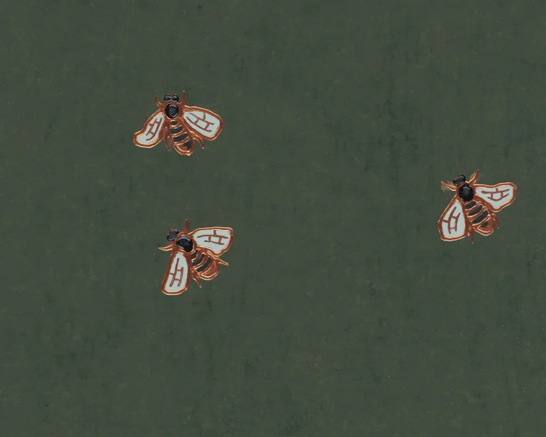 Rainforest - The Bees