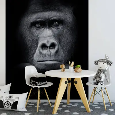 Gorilla - Wall Mural 5518 - 4 Panel - 192cm x 260cm