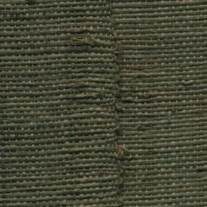 Farini Evergreen — Ảnh 2
