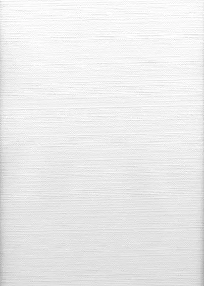 MacLise Paintable Wallpaper - Paintable