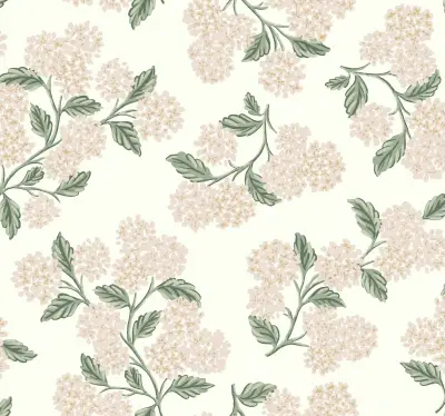 Hydrangea — White & Blush