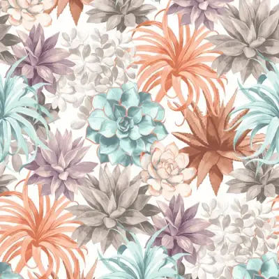Botanica Echeveria