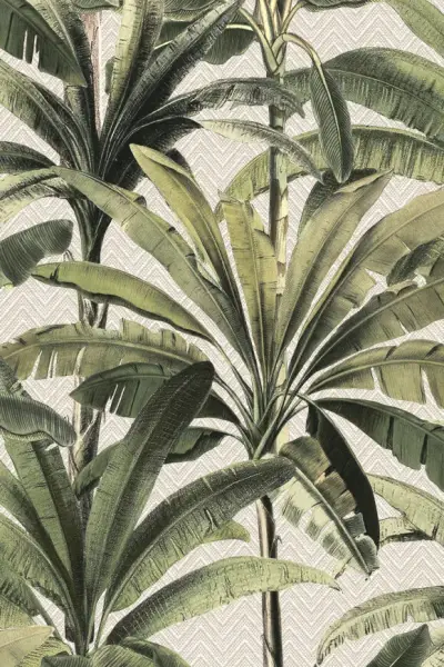 Palmera — Palmera 11140